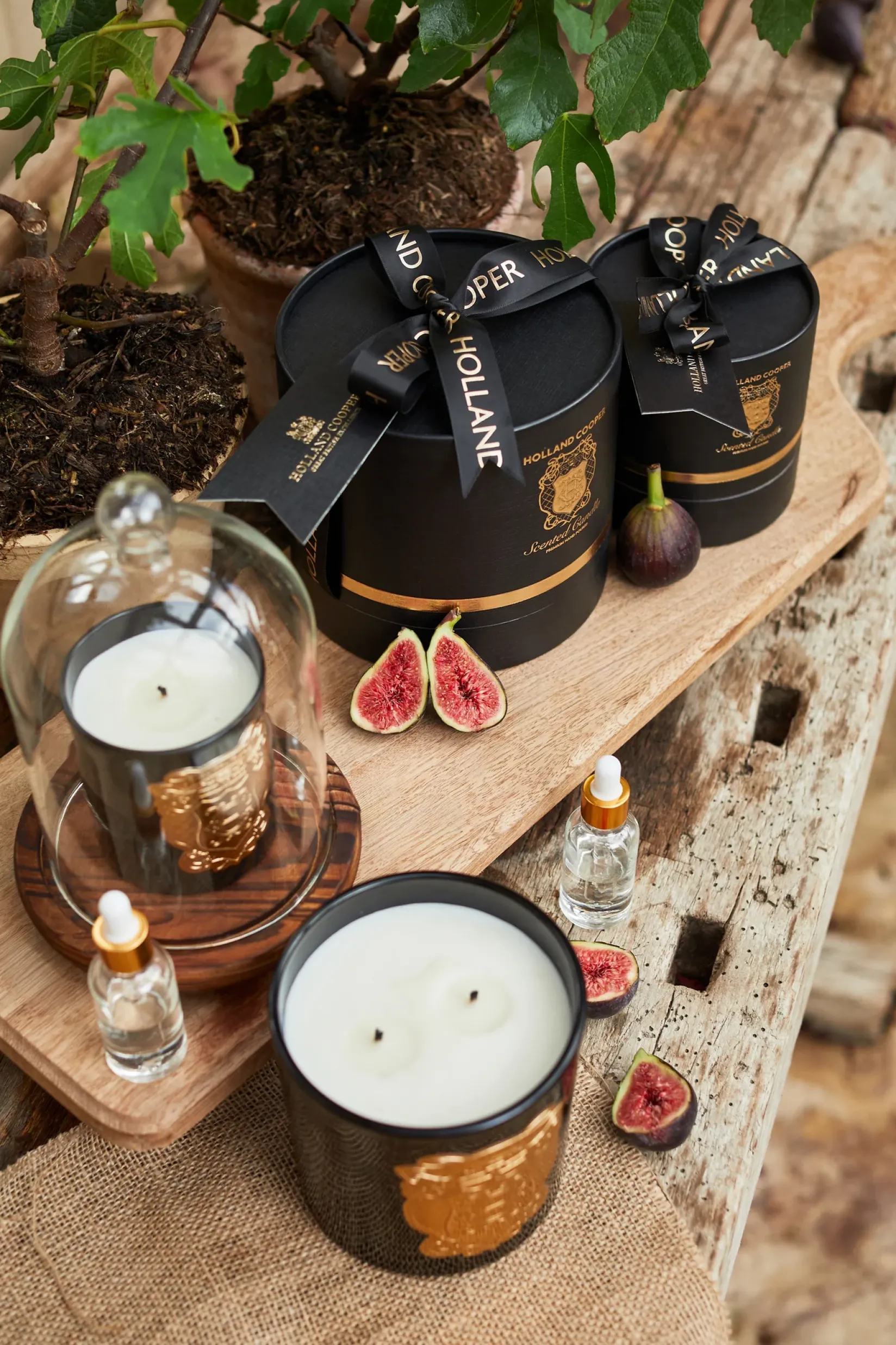 Holland Cooper The Perfect Gesture|Gifts For Her-Double Wick Candle Figue Noir
