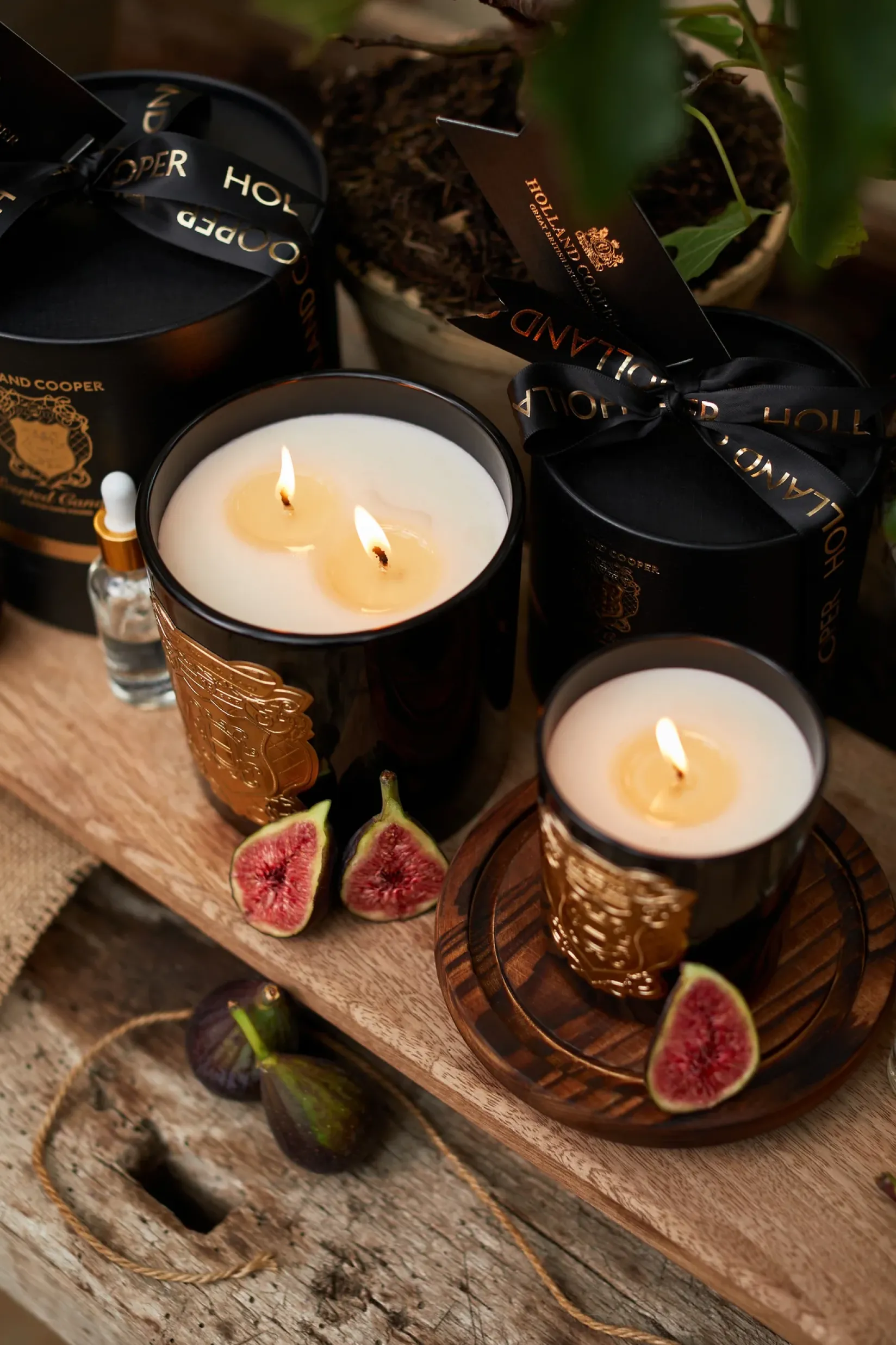 Holland Cooper The Perfect Gesture|Gifts For Her-Double Wick Candle Figue Noir