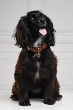 Holland Cooper Dog Collars|Dog Accessories-HC Classic Dog Collar Chestnut & Tweed