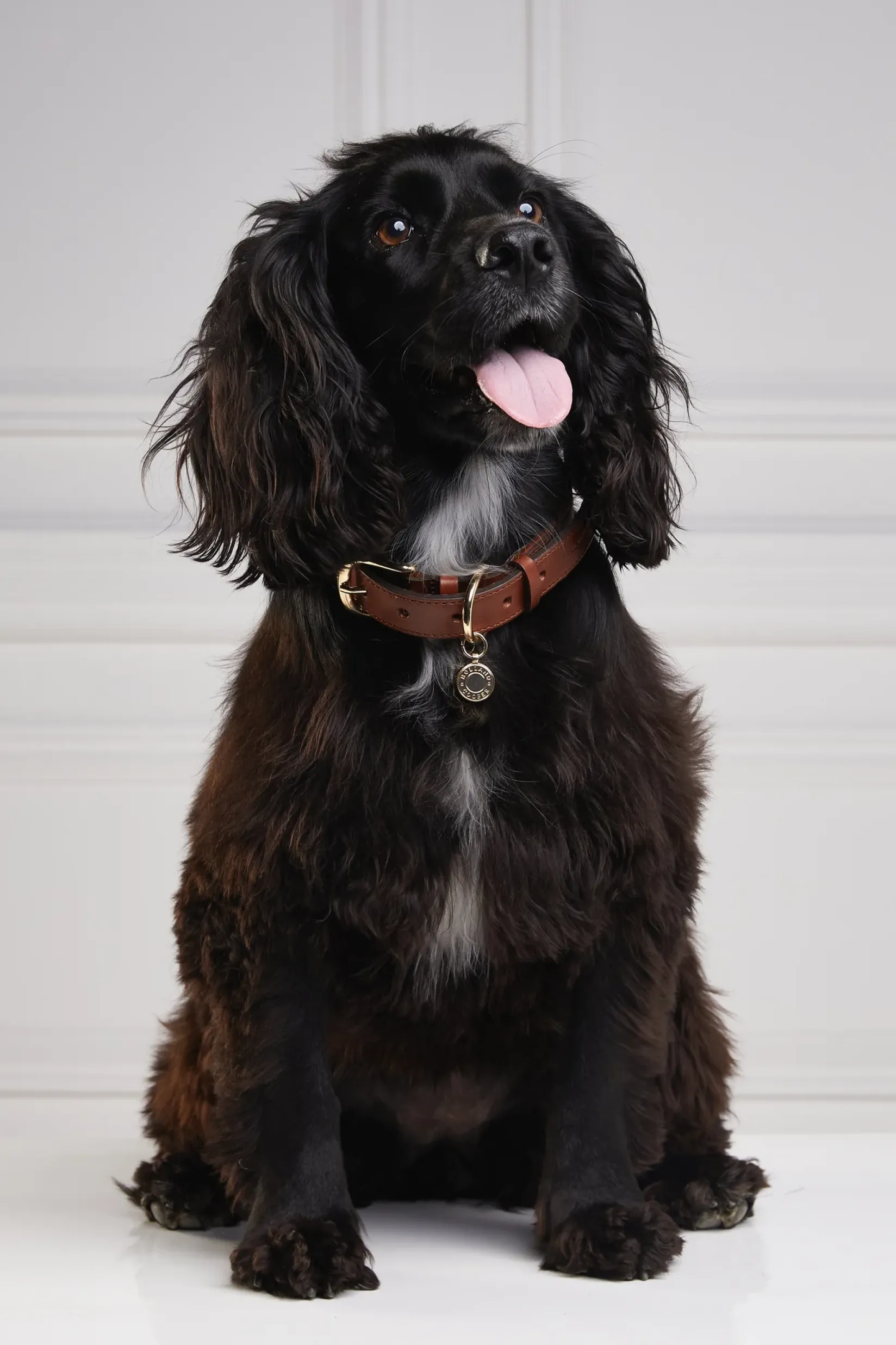 Holland Cooper Dog Collars|Dog Accessories-HC Classic Dog Collar Chestnut & Tweed