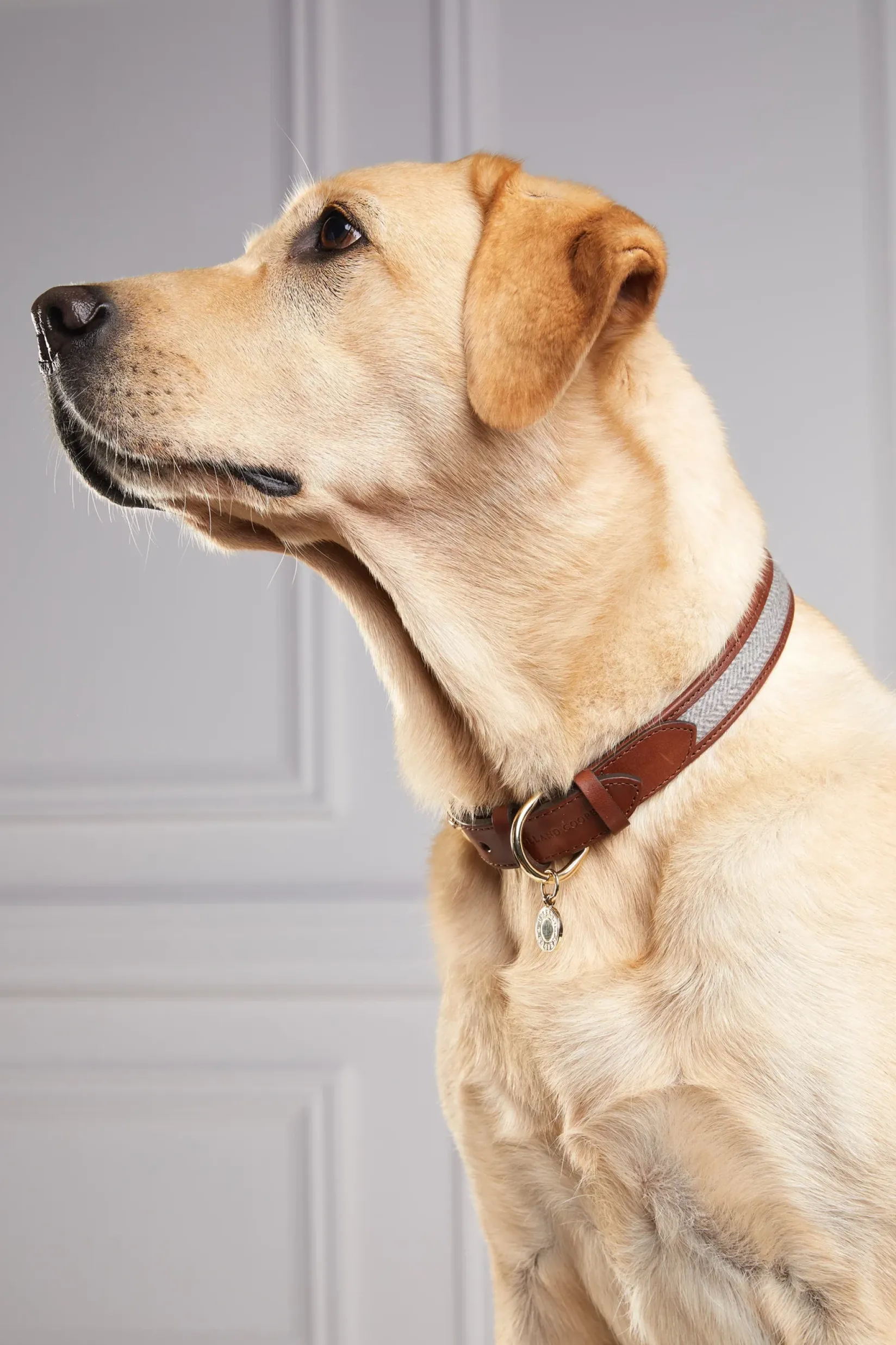 Holland Cooper Dog Collars|Dog Accessories-HC Classic Dog Collar Chestnut & Tweed