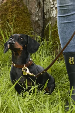 Holland Cooper Dog Leads|Dog Accessories-HC Slim Dog Lead Chestnut
