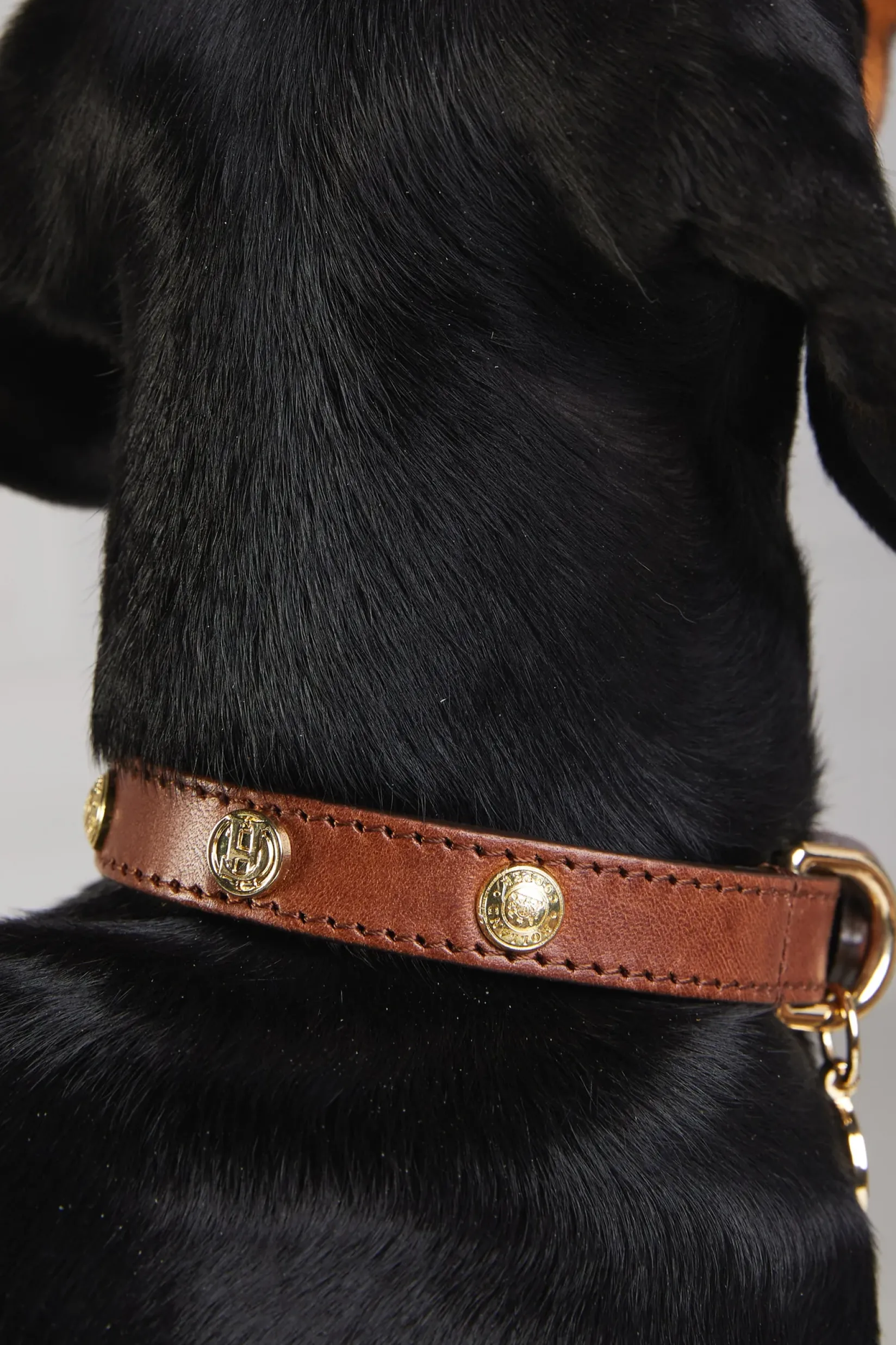Holland Cooper Dog Collars|Dog Accessories-HC Studded Dog Collar Chestnut