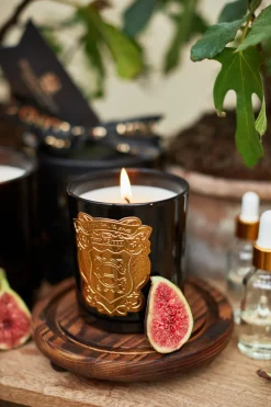 Holland Cooper The Perfect Gesture|Gifts For Her-Single Wick Candle Figue Noir